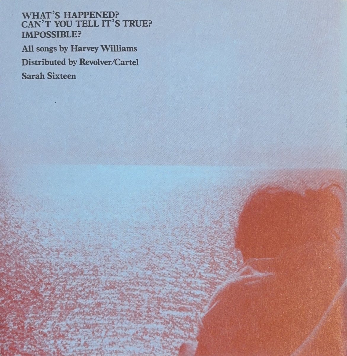 Another Sunny Day – What's Happened? - 45rpm records