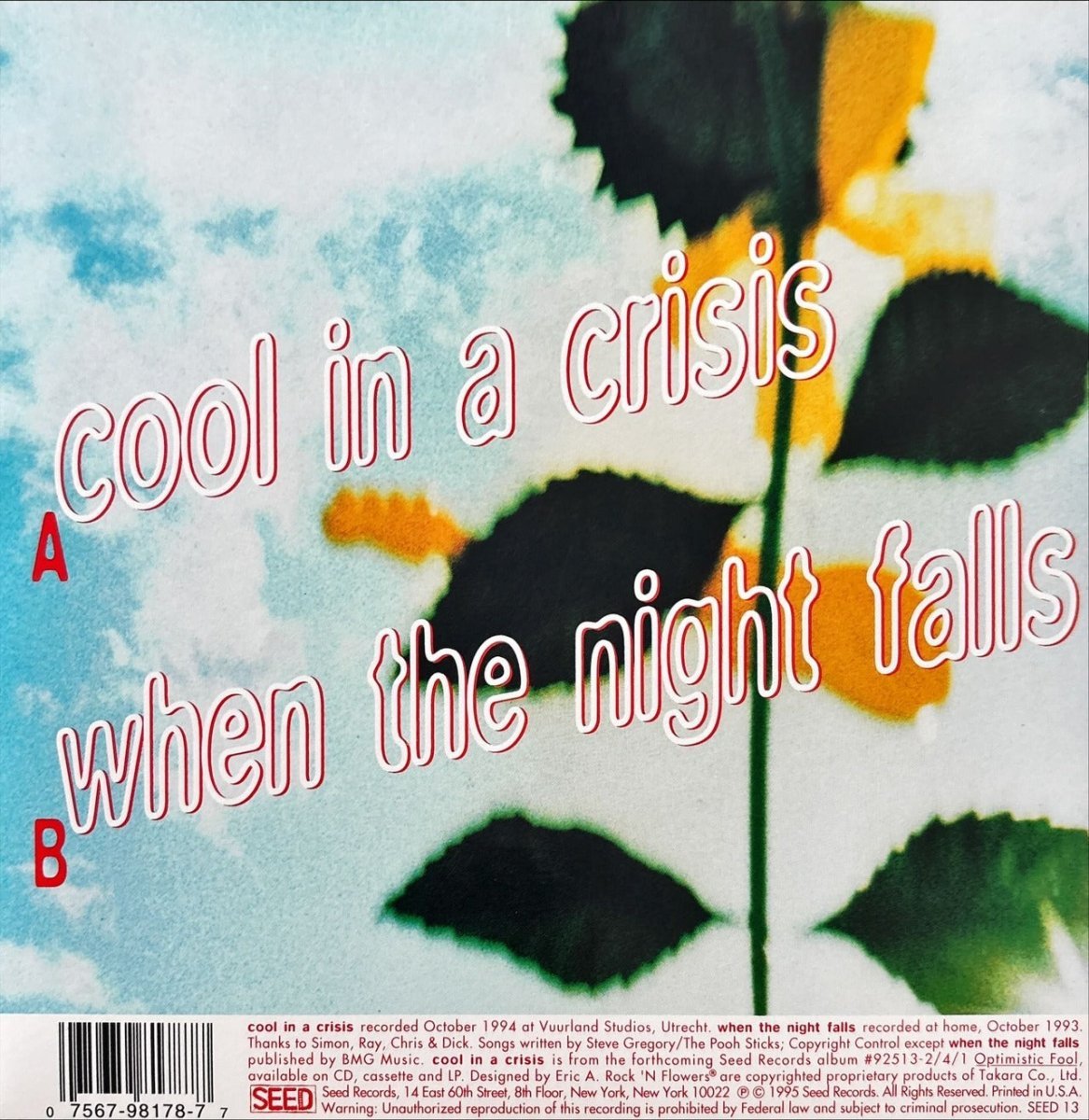 The Pooh Sticks – Cool In A Crisis - 45rpm records