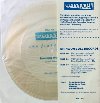 The Field Mice – Burning World - 45rpm records
