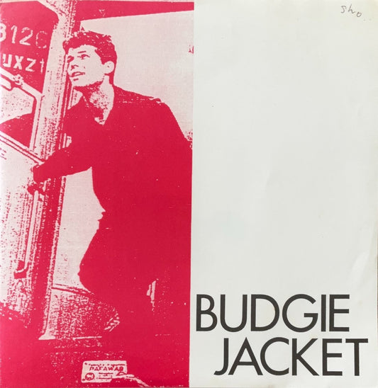 Budgie Jacket – I Don't Care About Time I Don't Want To Surmise - 45rpm records