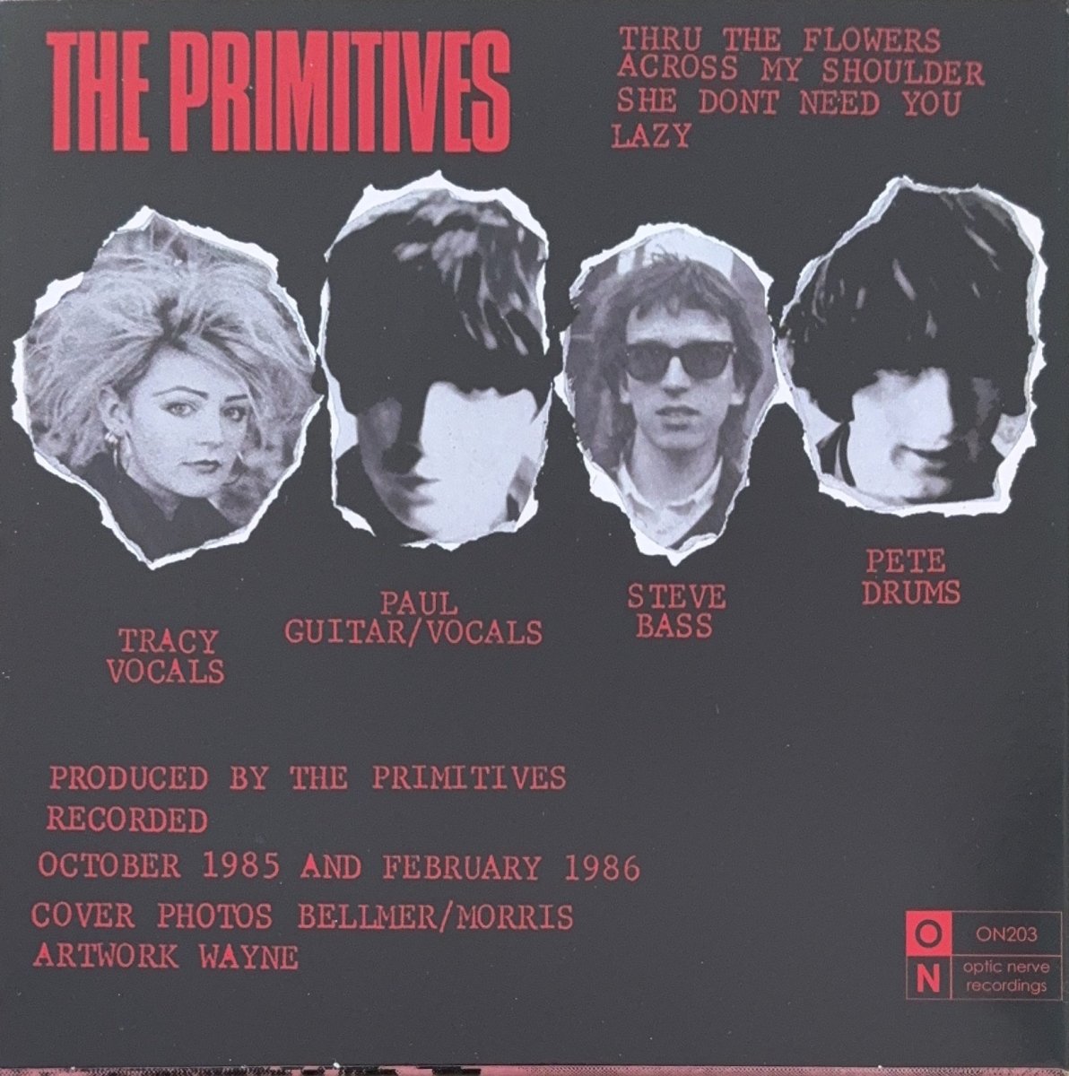 The Primitives – Thru The Flowers - 45rpm records
