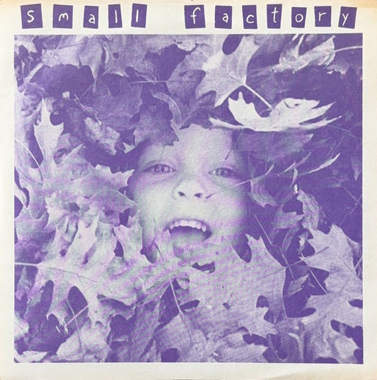 Small Factory – Suggestions - 45rpm records