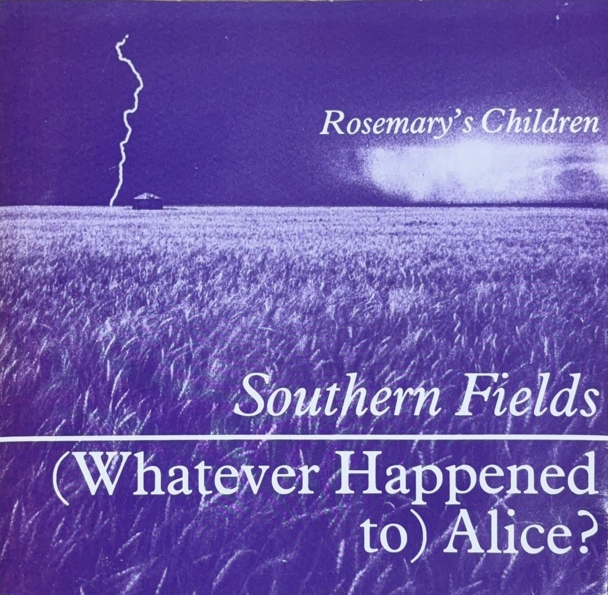 Rosemary's Children – Southern Fields - 45rpm records