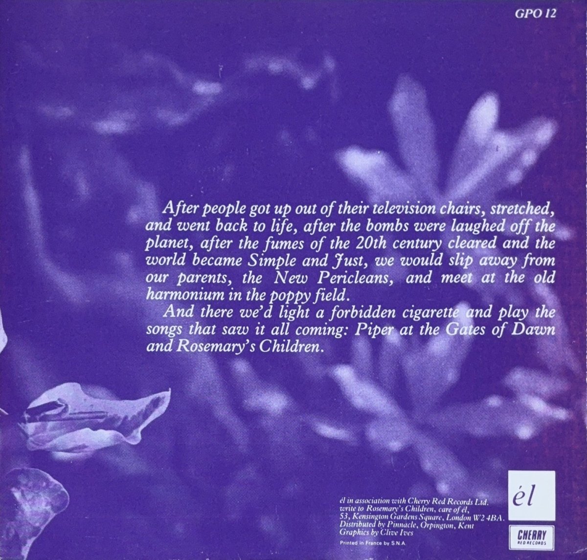 Rosemary's Children – Southern Fields - 45rpm records