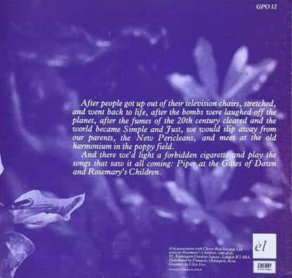 Rosemary's Children – Southern Fields - 45rpm records