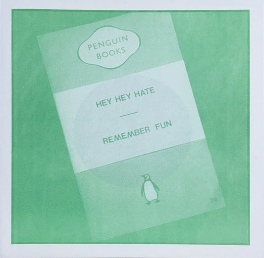 Remember Fun & Emily – Hey Hey Hate / The Old Stone Bridge - 45rpm records