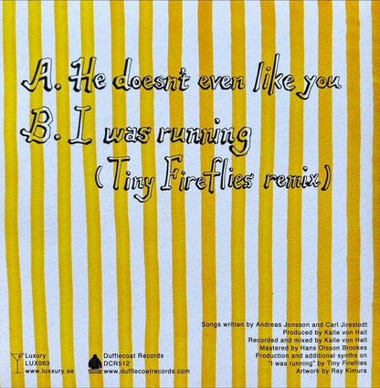 Alpaca Sports - He Doesn't Even Like You - 45rpm records
