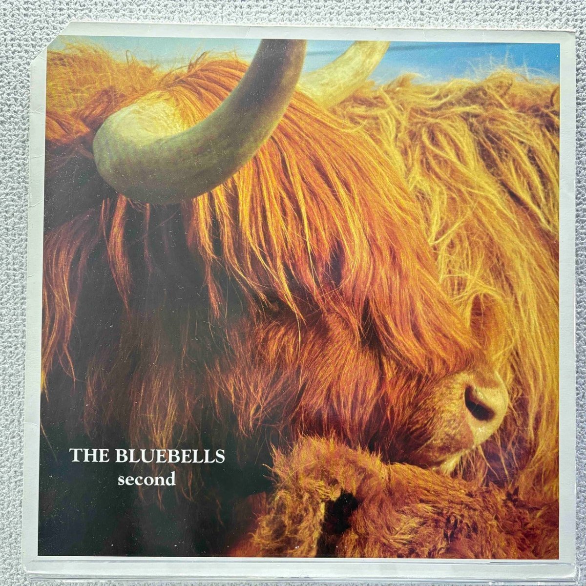 Bluebells - Second - 45rpm records