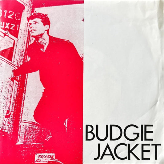 Budgie Jacket - I Don't Care About Time I Don't Want To Surmise - 45rpm records