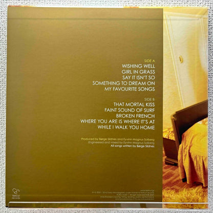 Dylan Mondegreen - While I Walk You Home - 45rpm records