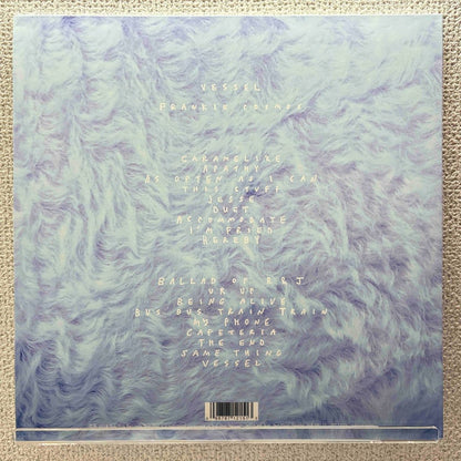 Frankie Cosmos - Vessel - 45rpm records