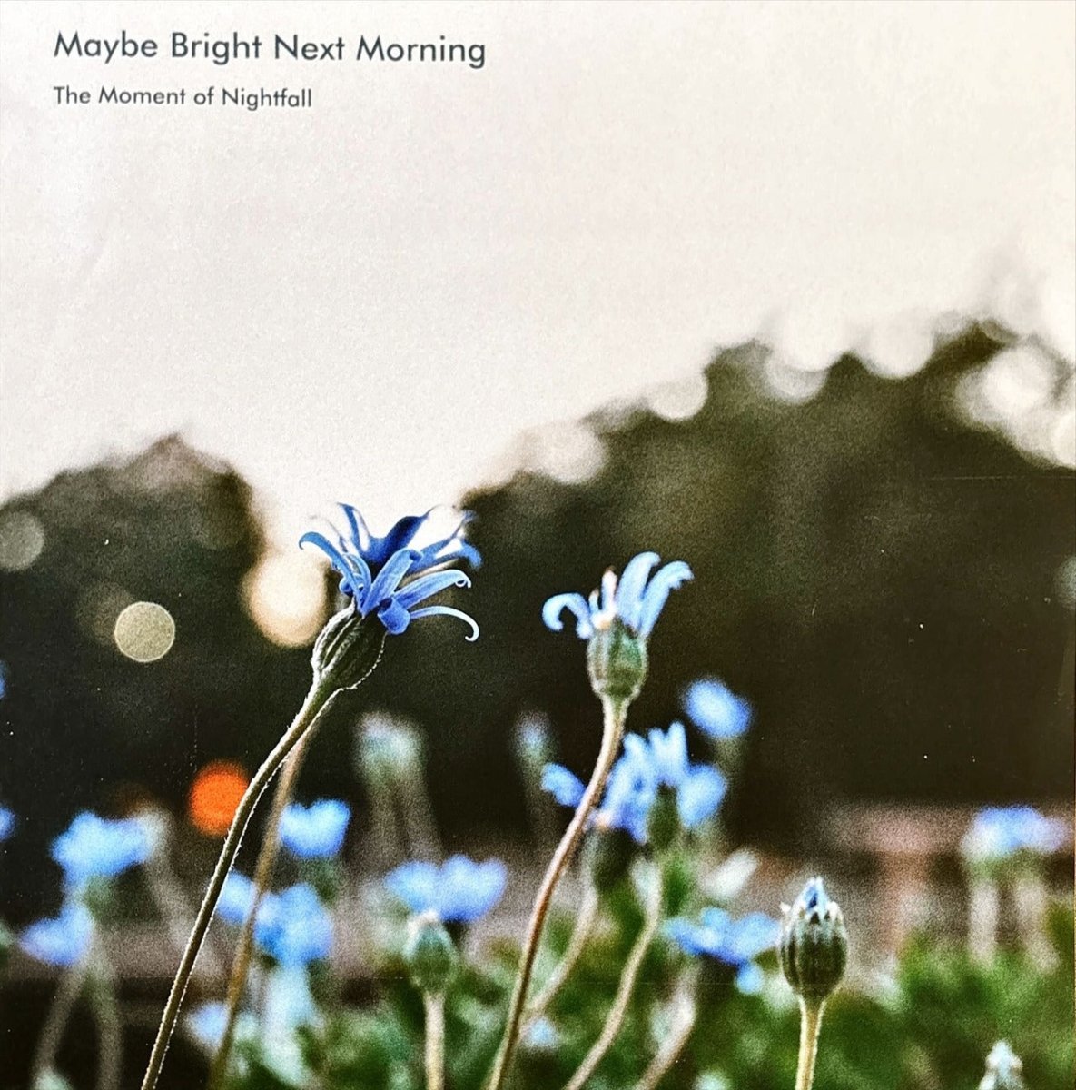 Moment of Nightfall - Maybe Bright Next Morning - 45rpm records
