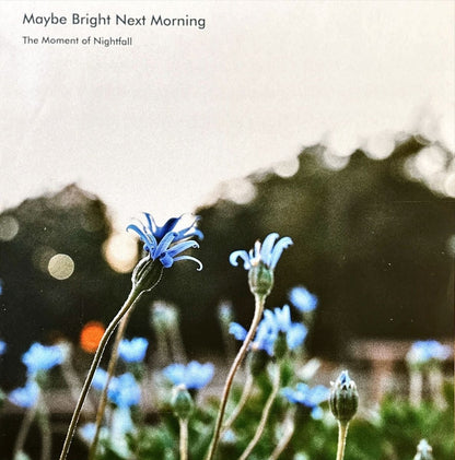 Moment of Nightfall - Maybe Bright Next Morning - 45rpm records