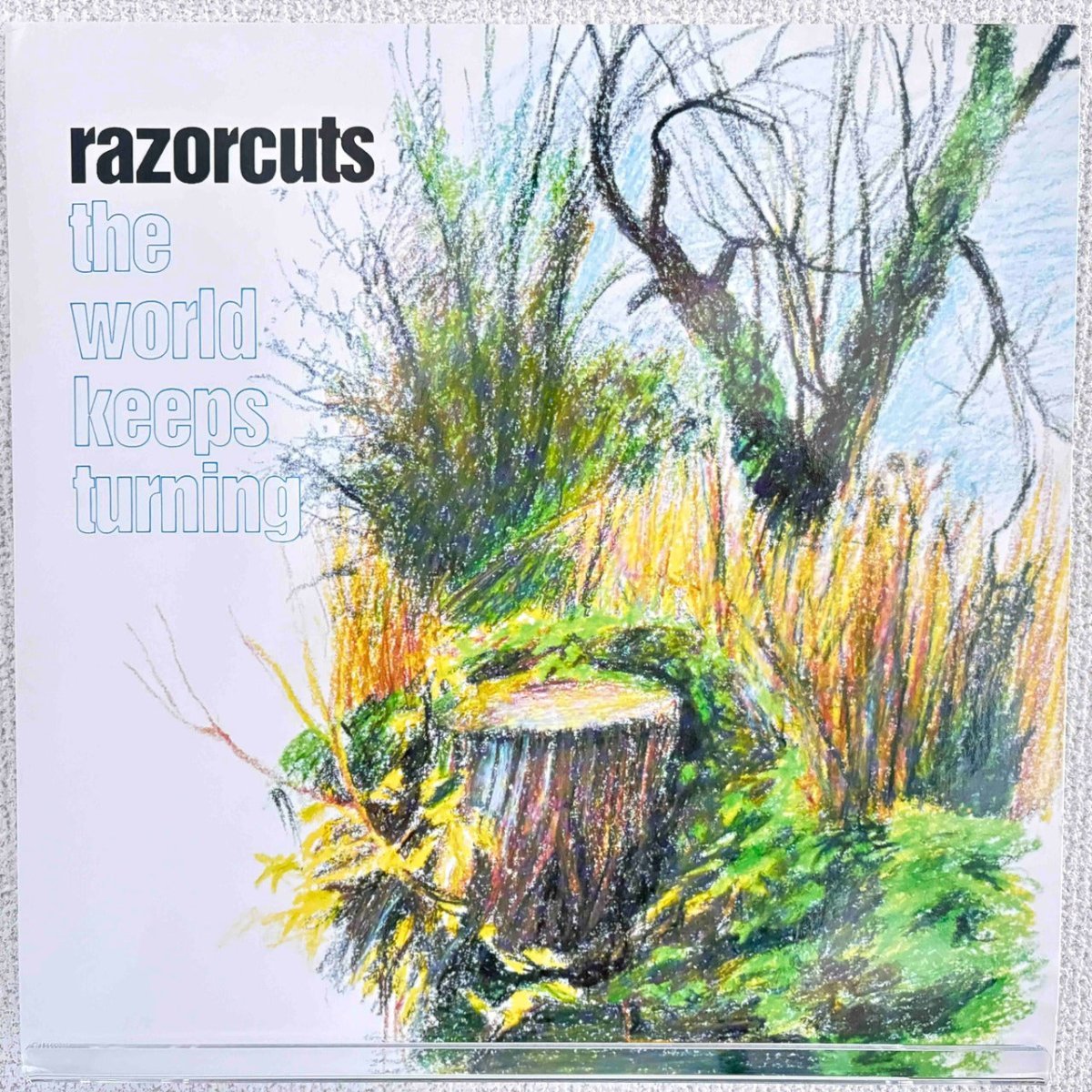 Razorcuts - The World Keeps Turning - 45rpm records