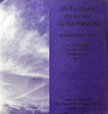 St. Christopher - All Of A Tremble - 45rpm records