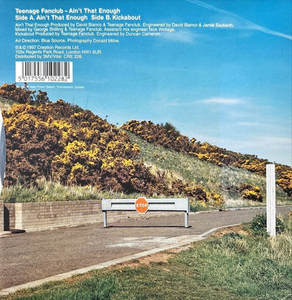 Teenage Fanclub - Ain't That Enough - 45rpm records