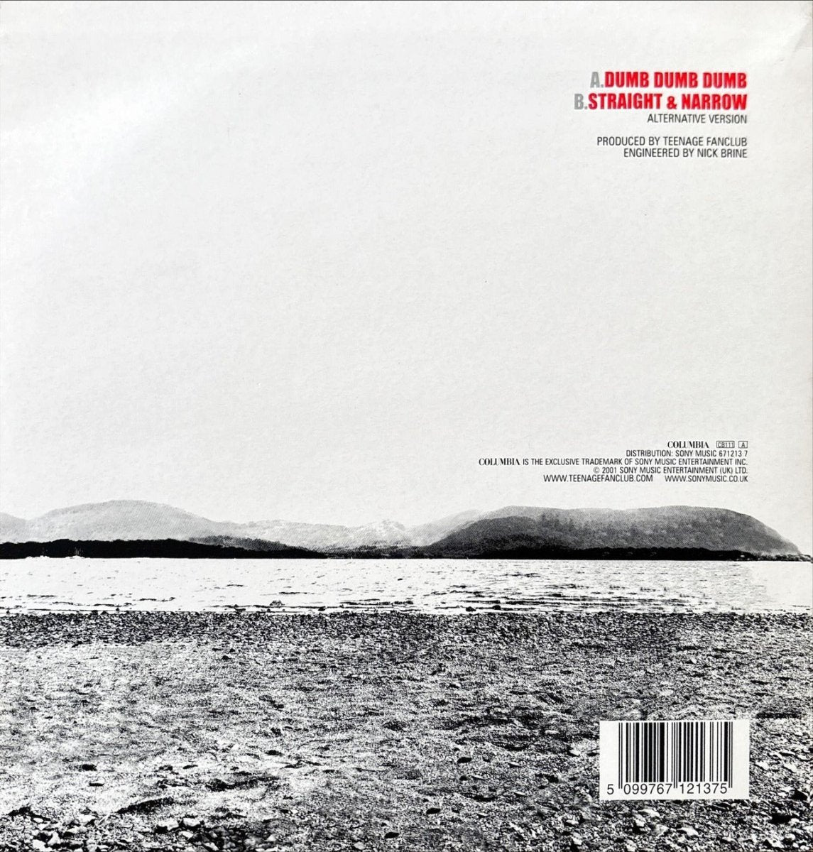 Teenage Fanclub - Dumb Dumb Dumb - 45rpm records