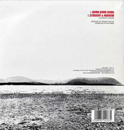 Teenage Fanclub - Dumb Dumb Dumb - 45rpm records