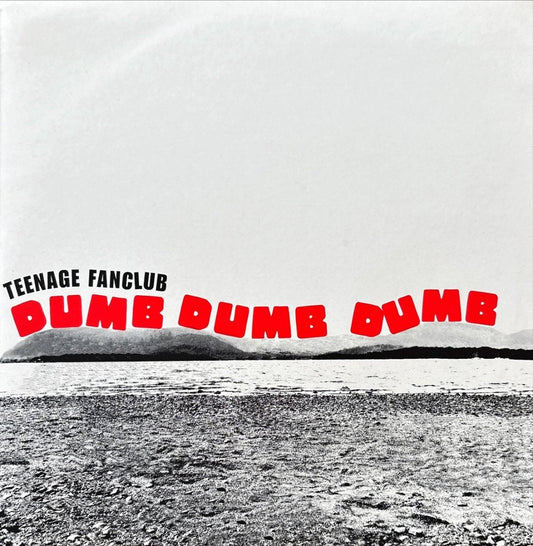 Teenage Fanclub - Dumb Dumb Dumb - 45rpm records