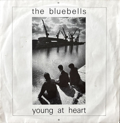 The Bluebells - Young At Heart - 45rpm records