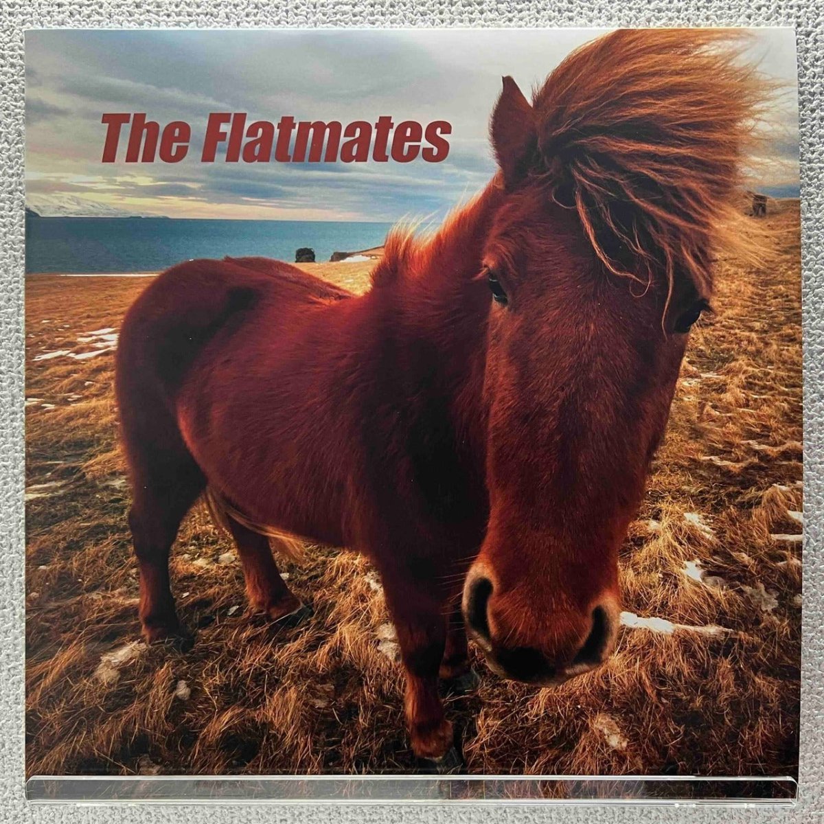 The Flatmates - The Flatmates - 45rpm records