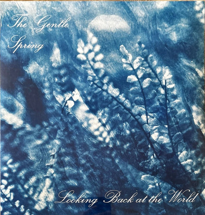 The Gentle Spring – Looking Back At The World - 45rpm records
