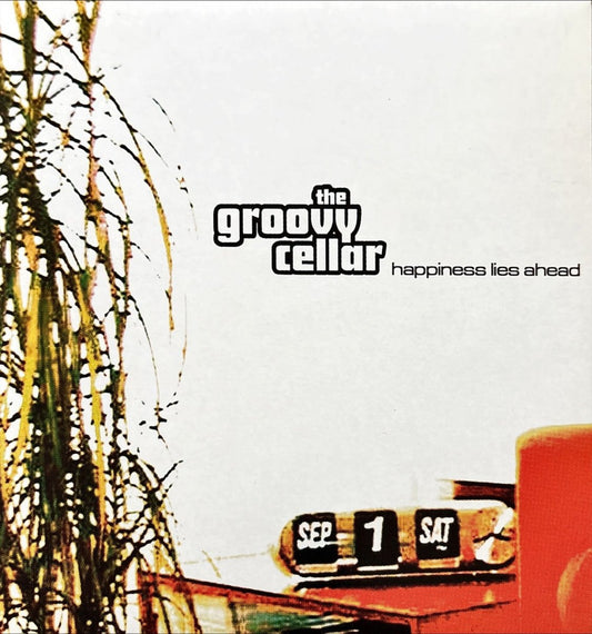 The Groovy Cellar – Happiness Lies Ahead - 45rpm records