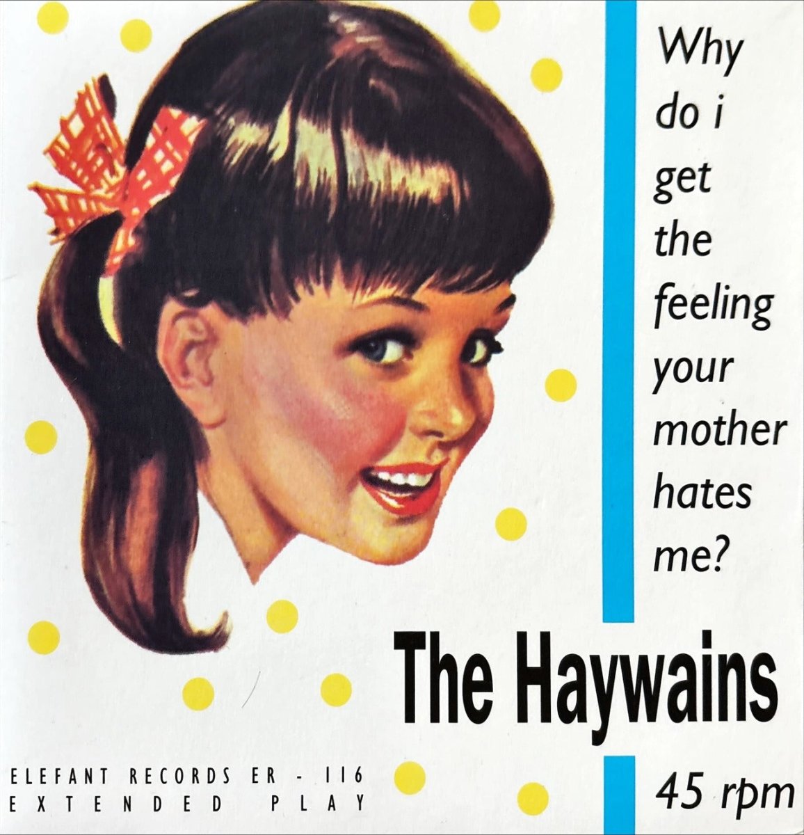 The Haywains – Why Do I Get The Feeling Your Mother Hates Me? - 45rpm records