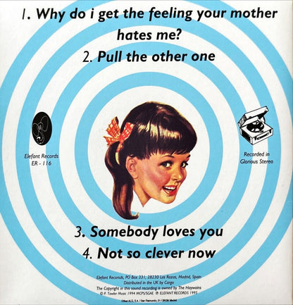 The Haywains – Why Do I Get The Feeling Your Mother Hates Me? - 45rpm records