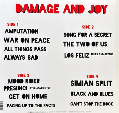 The Jesus And Mary Chain – Damage And Joy - 45rpm records