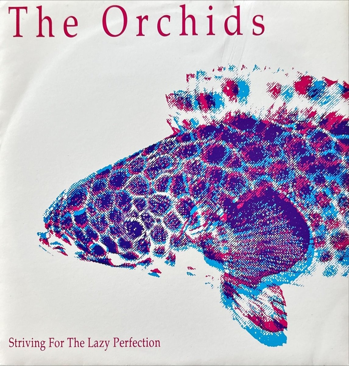 The Orchids / Bouquet / Crystal Garden – Split - 45rpm records