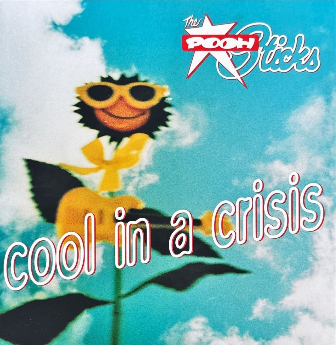 The Pooh Sticks – Cool In A Crisis - 45rpm records