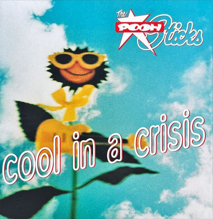 The Pooh Sticks – Cool In A Crisis - 45rpm records