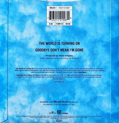 The Pooh Sticks – The World Is Turning On - 45rpm records