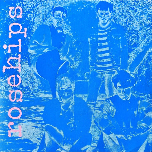 The Rosehips – I Shouldn't Have To Say - 45rpm records