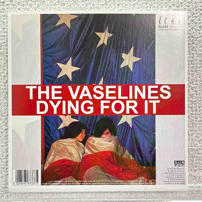 The Vaselines / The Pooh Sticks - Dying For It - 45rpm records