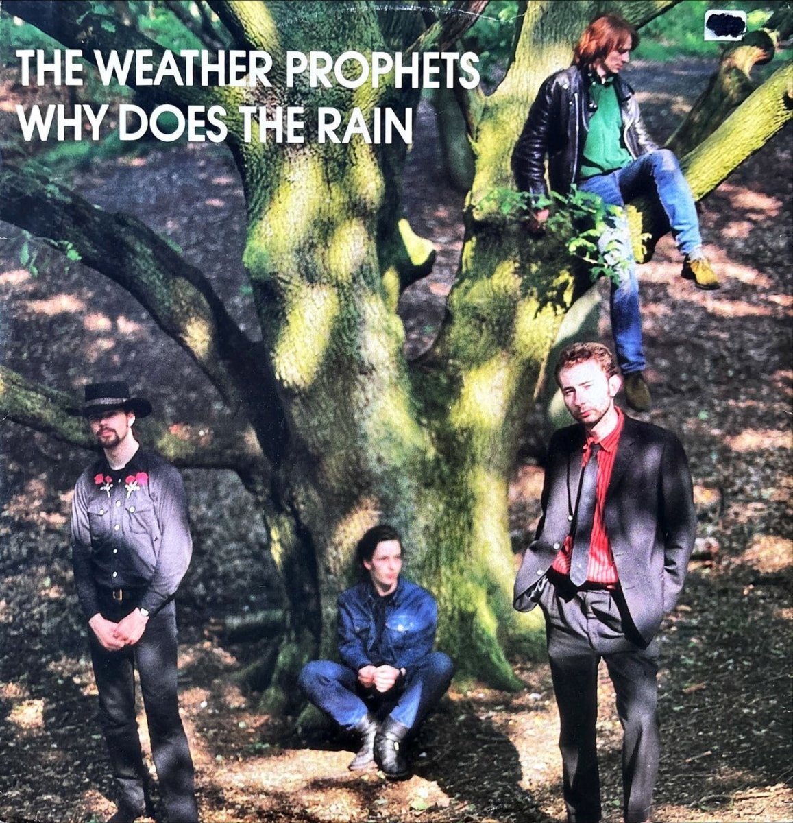 The Weather Prophets - Why Does The Rain - 45rpm records