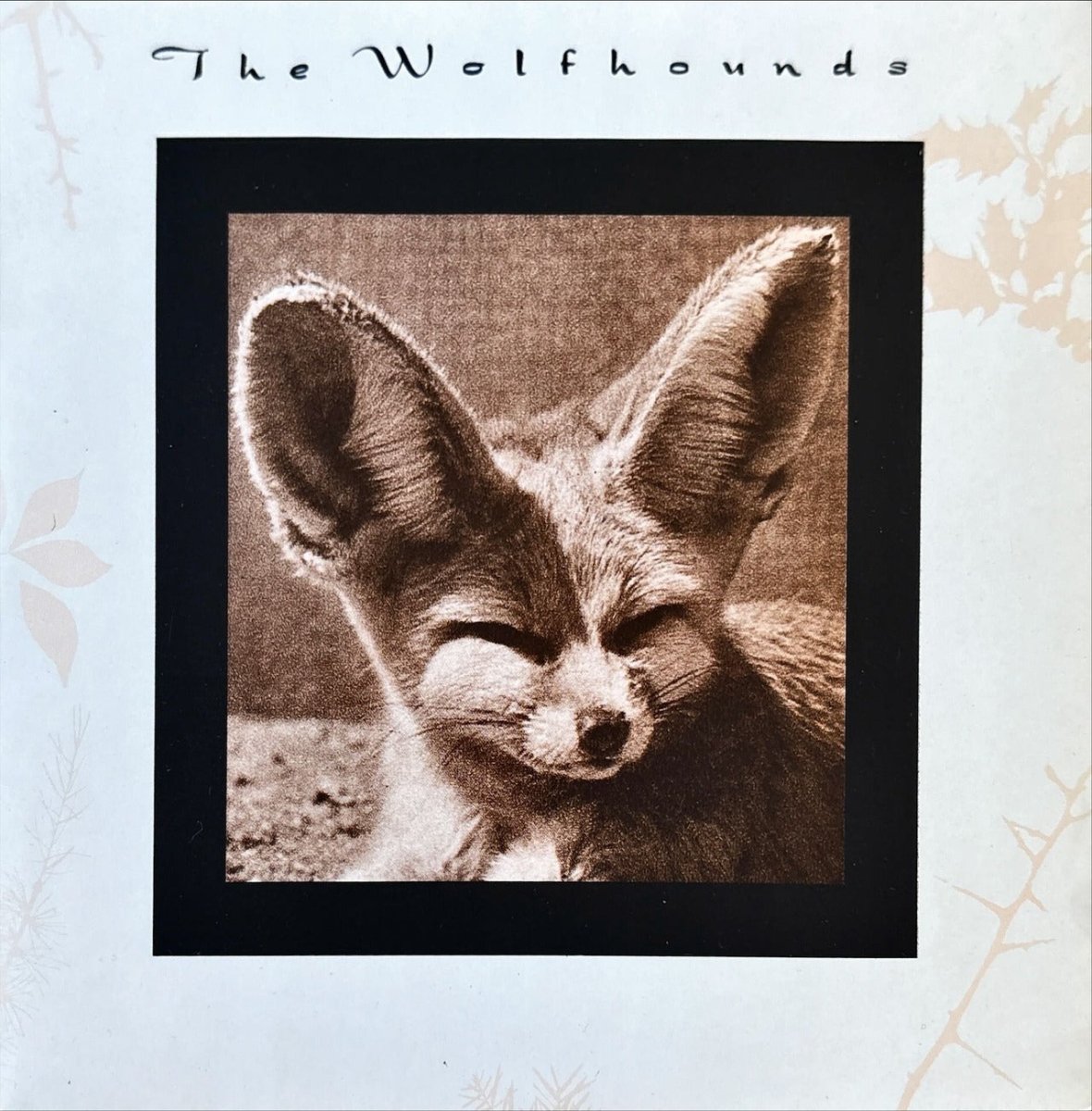 The Wolfhounds – Cruelty / I See You - 45rpm records
