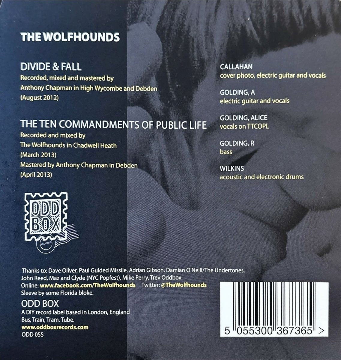 The Wolfhounds – Divide & Fall - 45rpm records
