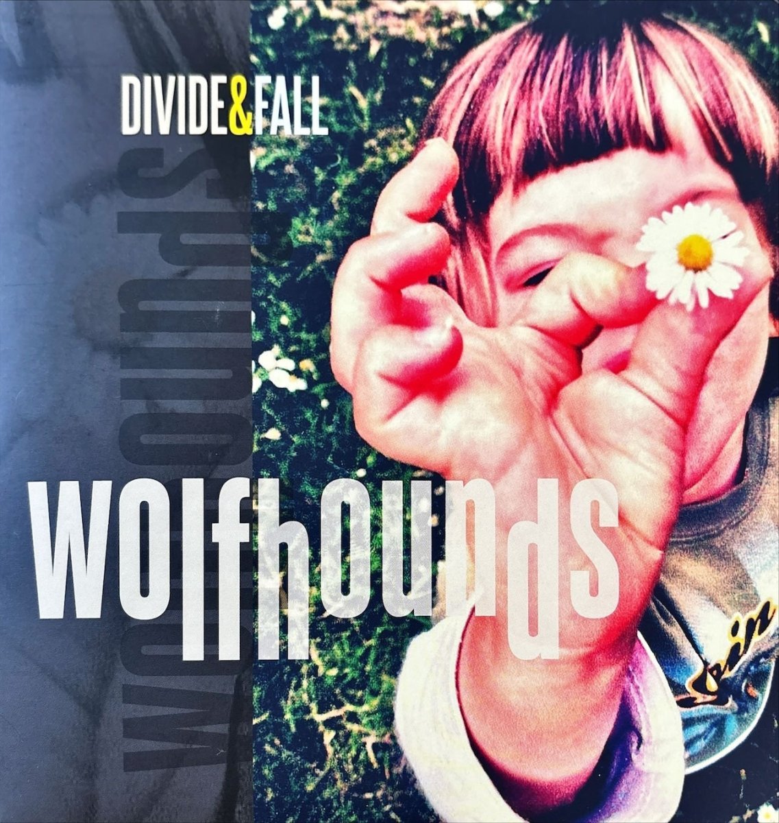The Wolfhounds – Divide & Fall - 45rpm records