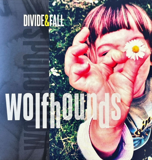 The Wolfhounds – Divide & Fall - 45rpm records