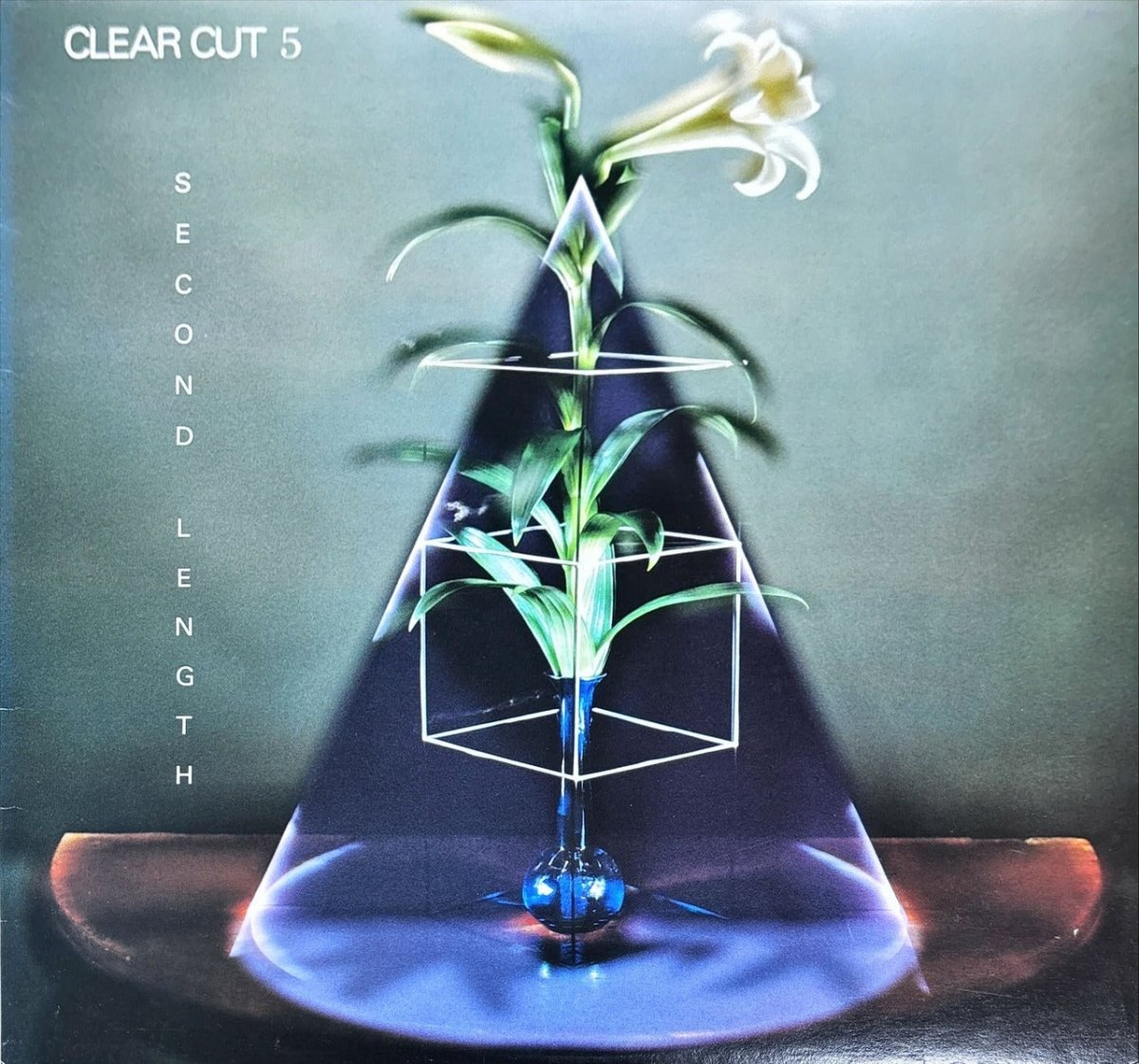 Various - Clear Cut 5 - 45rpm records