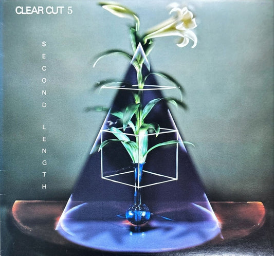 Various - Clear Cut 5 - 45rpm records