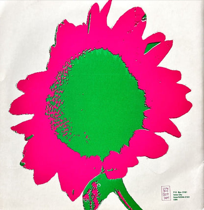 Velvet Crush - If Not True - 45rpm records