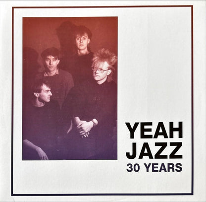 Yeah Jazz - 30 Years - 45rpm records