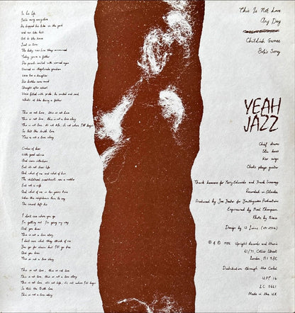 Yeah Jazz - This Is Not Love - 45rpm records